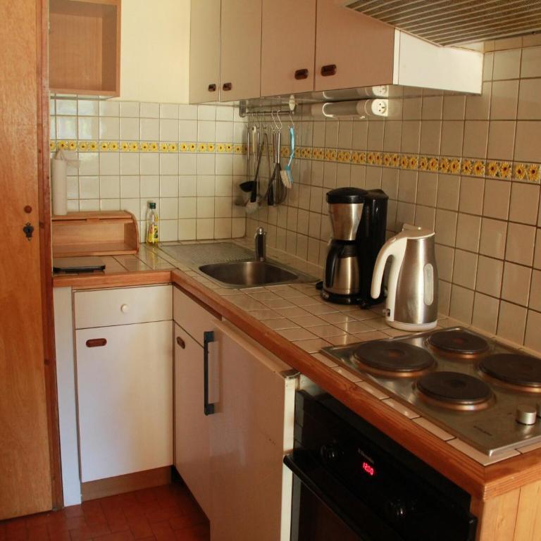 Apartment only 50 m from the ski slopes - Appartement 1 Chambre - 4