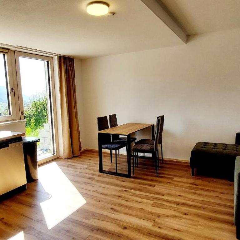 Ferienwohnung Sonnenschein - Apartment mit 1 Schlafzimmer - 2