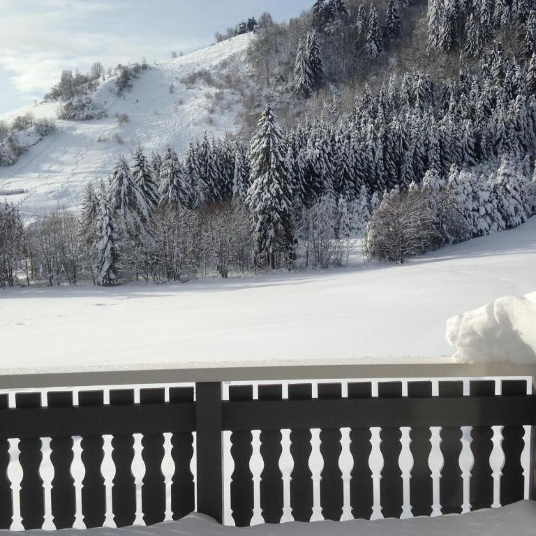 La Bresse Hautes Vosges Chalet 2 à 6 personnes - Chalet - 5