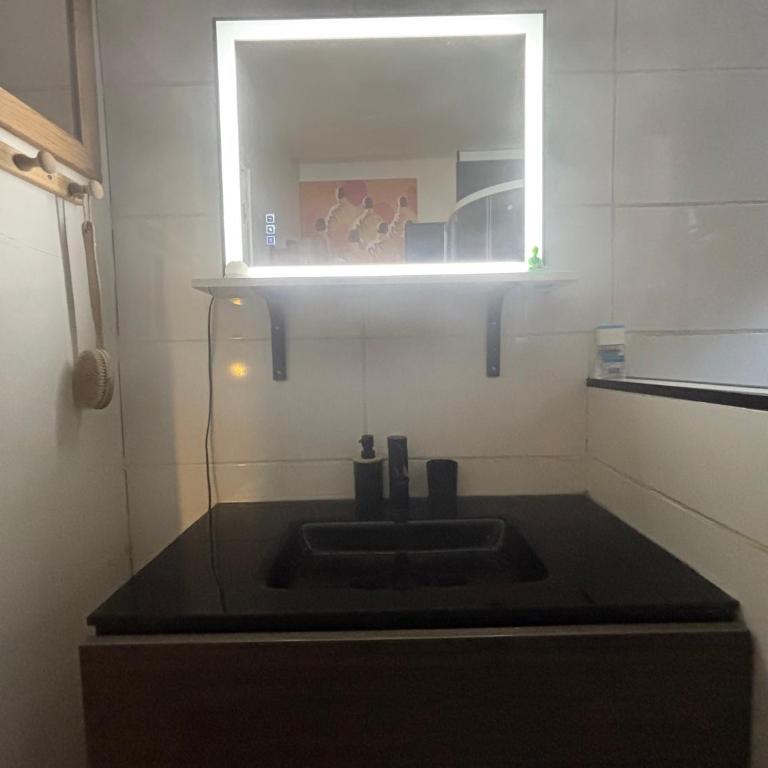 Grand Studio Paris Bastille - Appartement 1 Chambre - 12