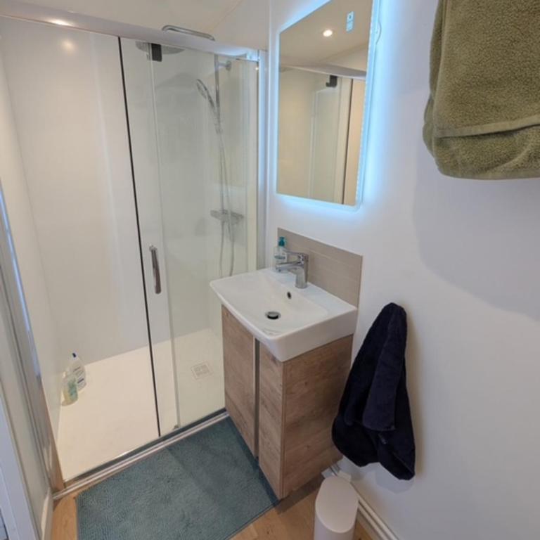 Grand Duplex lumineux aux Minimes - Appartement - 9