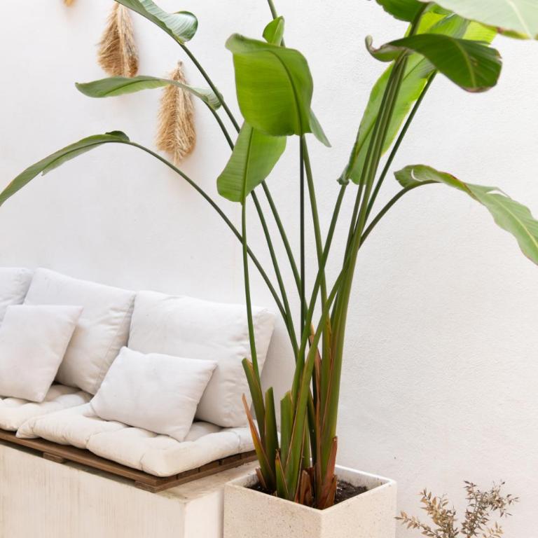 Sunny Stay Guest Houses - Four-Bedroom Apartment - 6