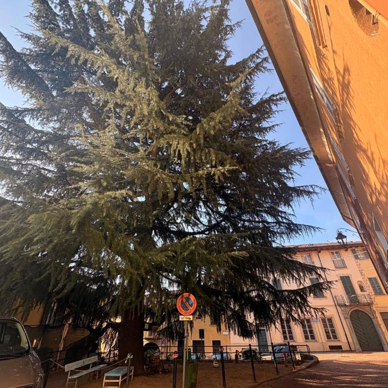 Home Albert-Lago Maggiore Luino - Casa - 46