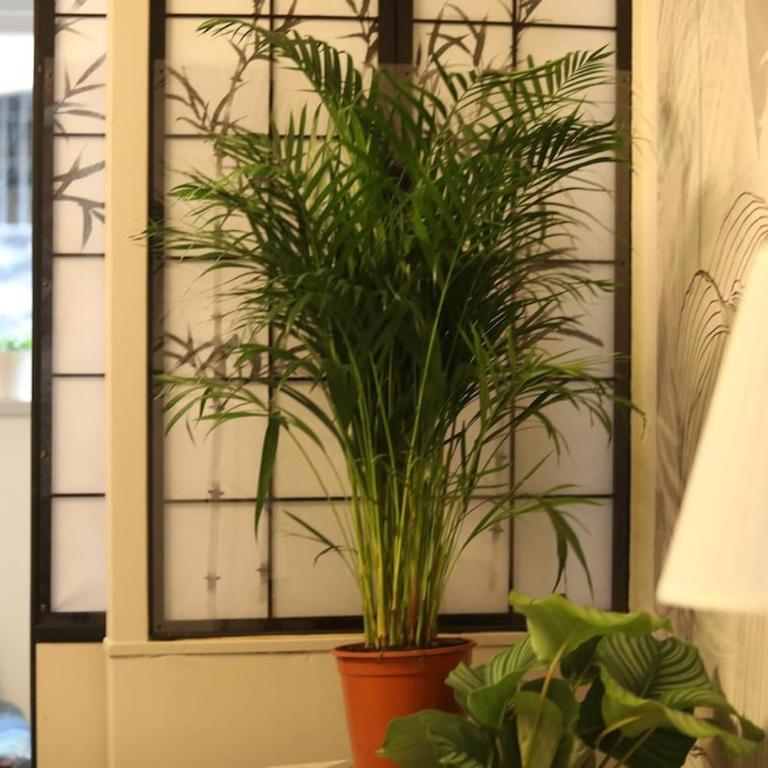 Coeur historique,superbe appartement - One-Bedroom Apartment - 9