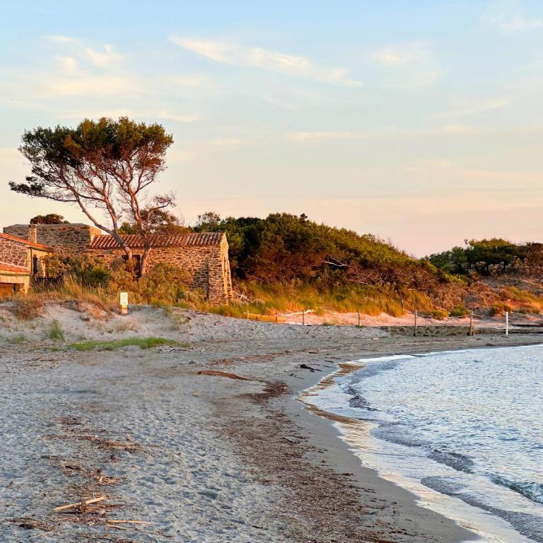 LE MAS DES OISEAUX Villa pour 6 personnes avec piscine privée, à deux pas du Golf de Valcros, à La Londe-Les-Maures - Ferienhaus mit 3 Schlafzimmern - 26