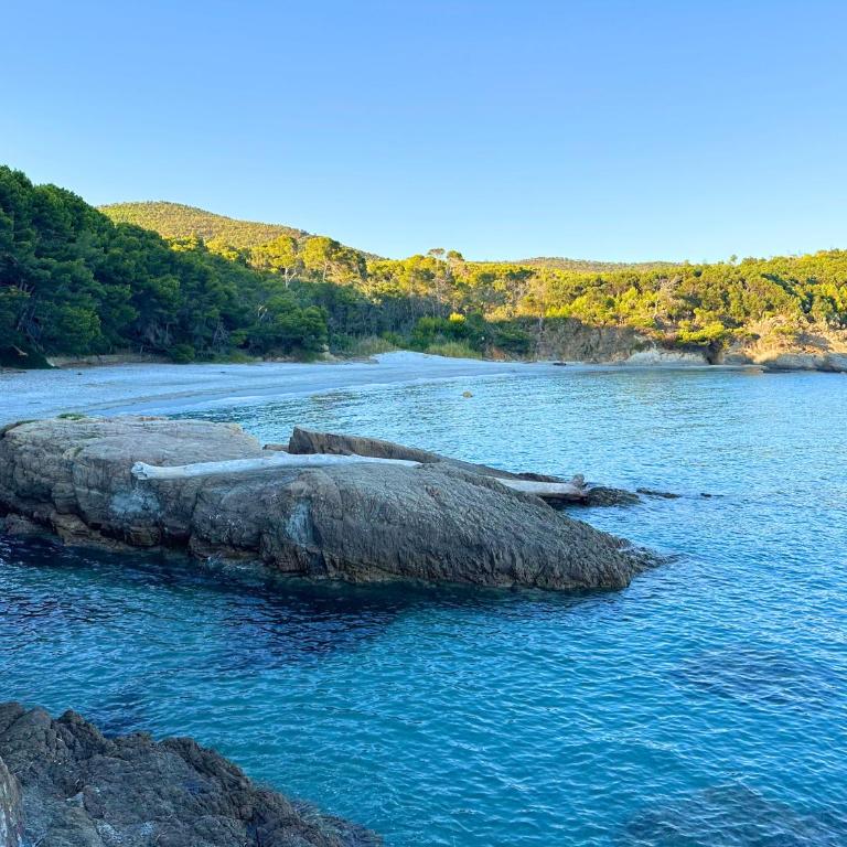 LE MAS DES OISEAUX Villa pour 6 personnes avec piscine privée, à deux pas du Golf de Valcros, à La Londe-Les-Maures - Ferienhaus mit 3 Schlafzimmern - 25