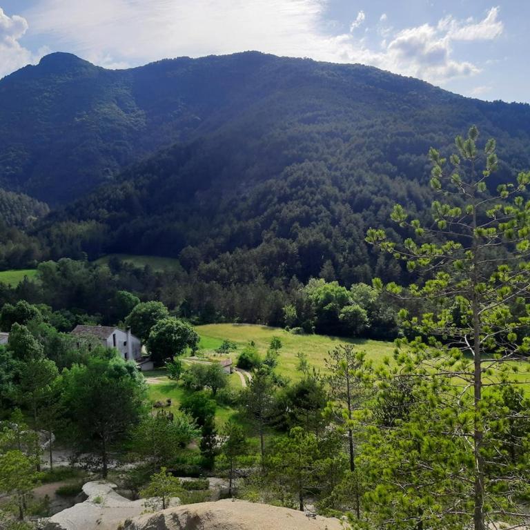 Zen Gîte - Apartamento de 1 dormitorio - 1
