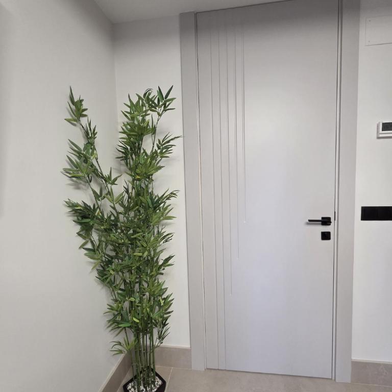 Las Campanas de la Catedral Suite Jacuzzi - Apartamento de 1 dormitorio con bañera de hidromasaje - 18