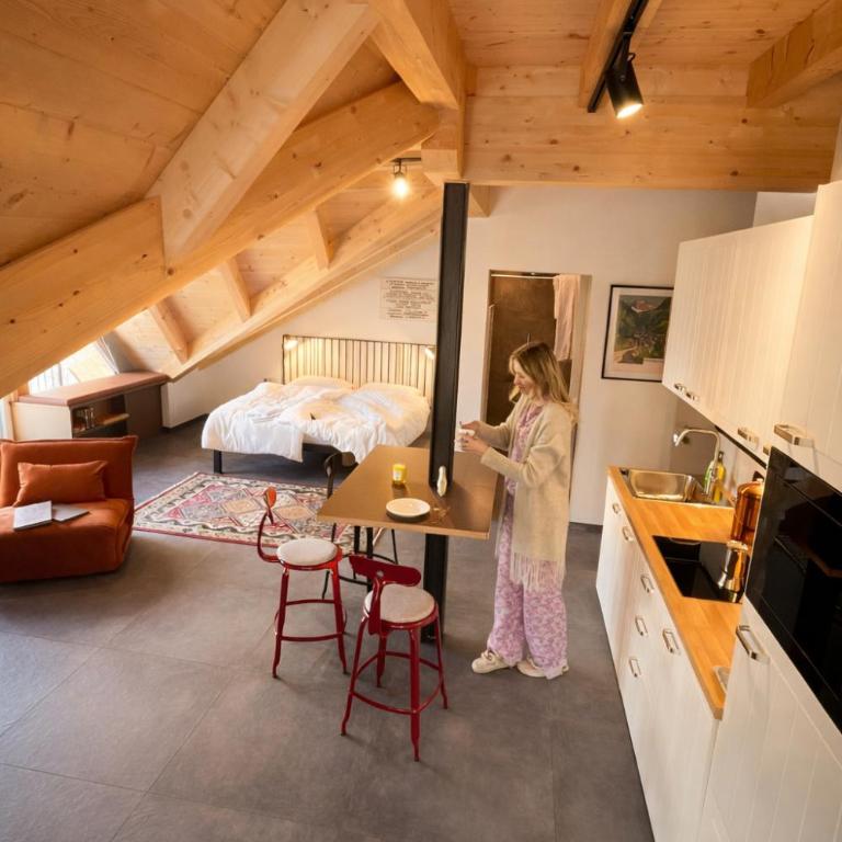 Bahngarten1907 Panorama Historic Railway House - Loft Apartment mit1 Schlafzimmer und Balkon - 9