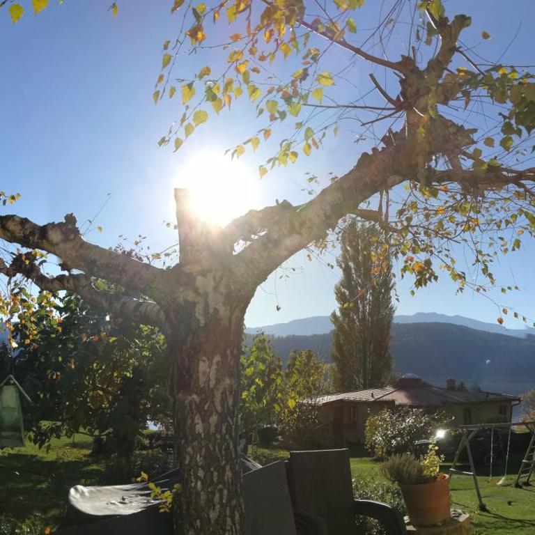 Ferienwohnungen Fischerhaus - direkt am See - Familienapartment mit Seeblick. - 7