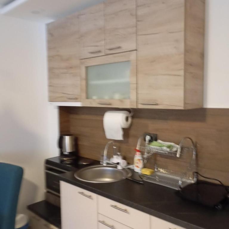 Milmari Resort Kopaonik apartman p88 - Apartman sa 1 Spavaćom Sobom - 12