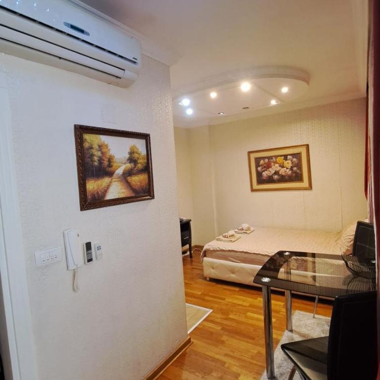 BUMI Apartment - Apartman sa 1 Spavaćom Sobom - 9