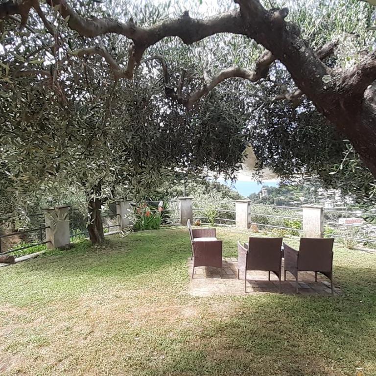 Casa Diana - Appartamento con 1 Camera da Letto - 22