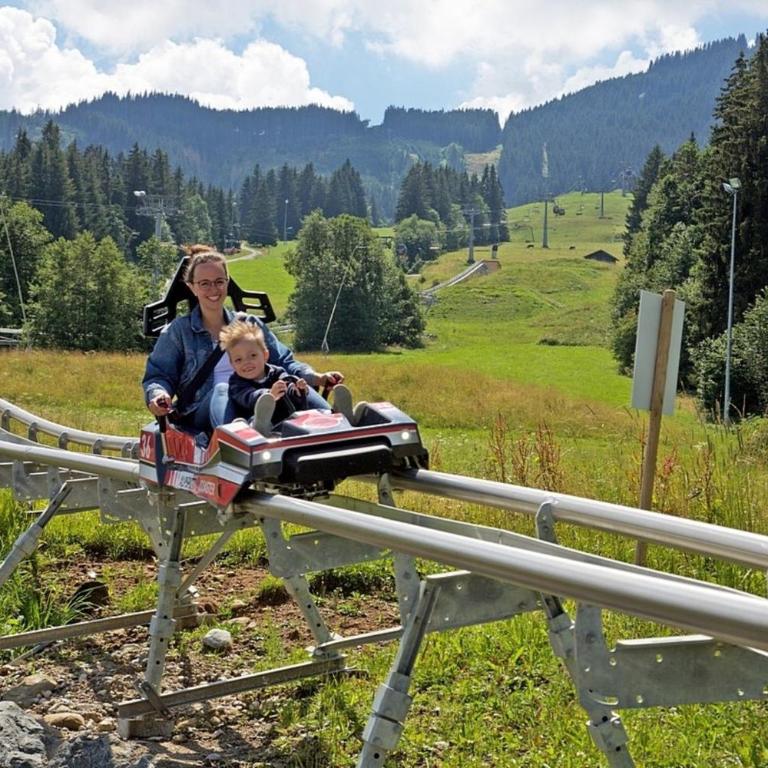 Ferienwohnung Bergblick , Hof Alpenseeblick, NesselwangAttleseeAllgäu - Apartment - 18