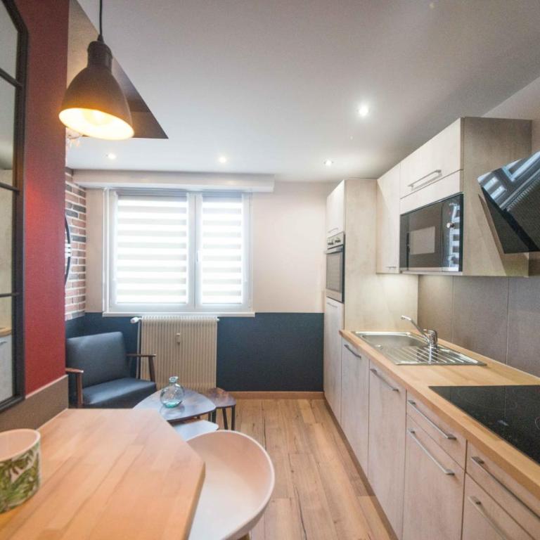 Sleep in Alsace - Balcon - Centre - Appartement 2 Chambres - 19