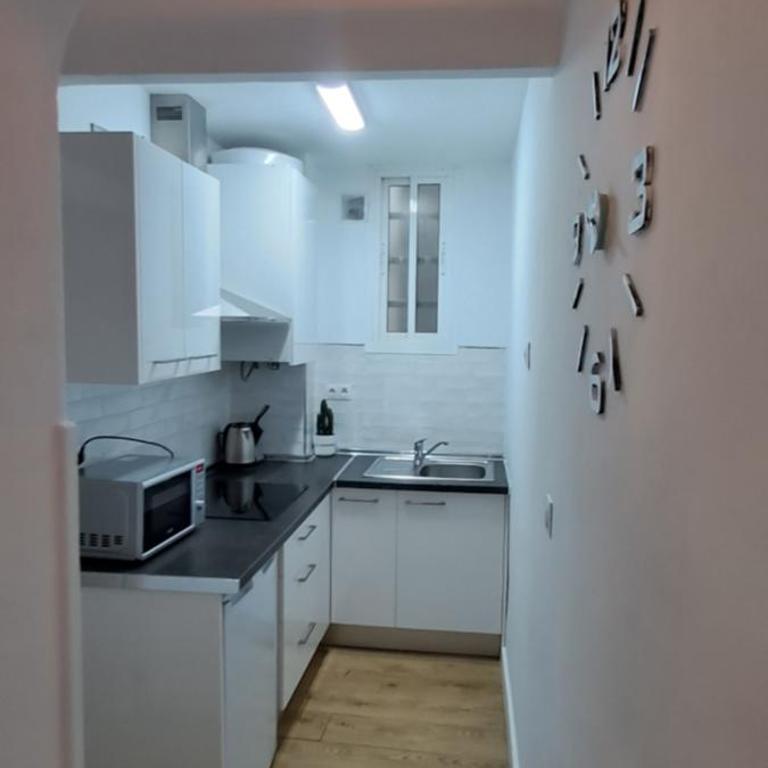 Catedral Larios Centro - Apartamento de 3 dormitorios - 15