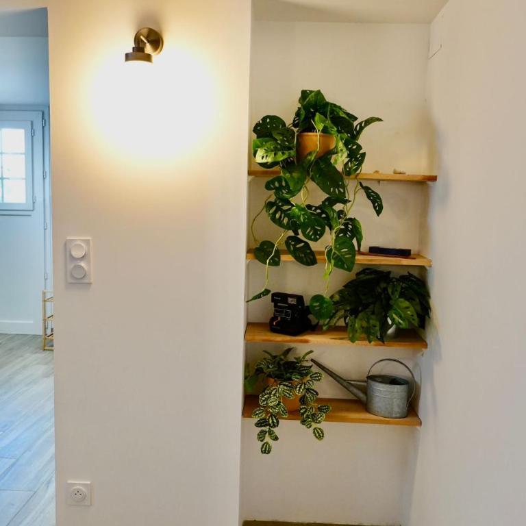 Appartement Chapital Biarritz - Apartment - 9