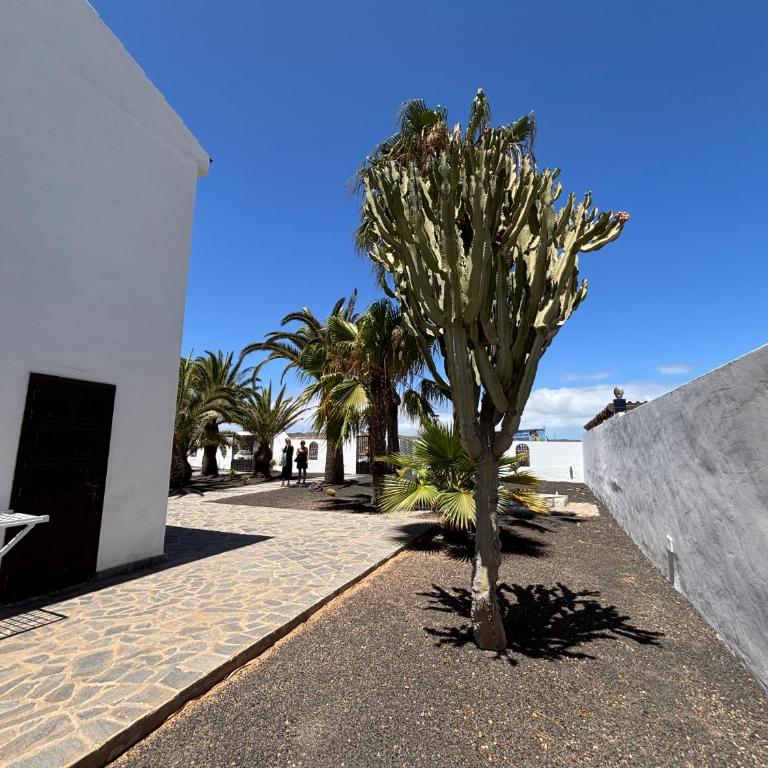 Villa Waikiki, Private Pool, Beaches & NightLife - Villa - 28
