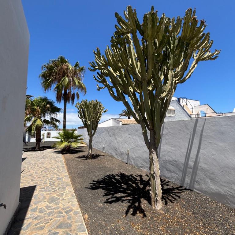 Villa Waikiki, Private Pool, Beaches & NightLife - Villa - 29