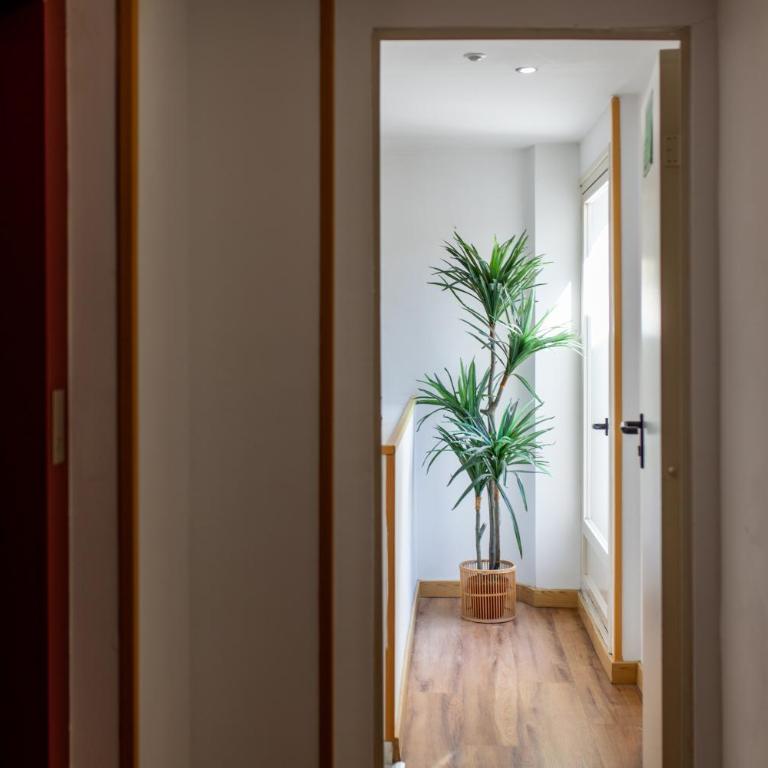 Casa de la Catedral - Interior Studio with Sofa Bed (with no views) - 5