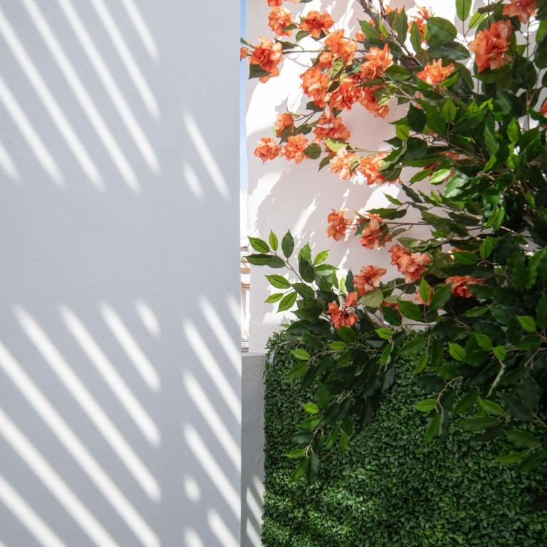 Casa Carver 1927 by Hommyhome - Double Room with Terrace - 9