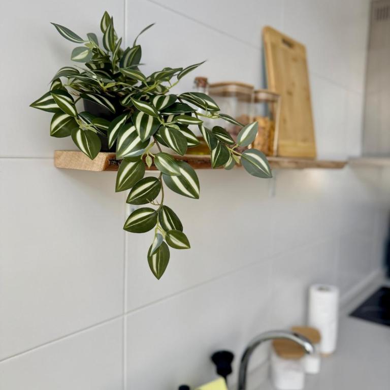 Sonido Mediterraneo - Two-Bedroom Apartment - 30