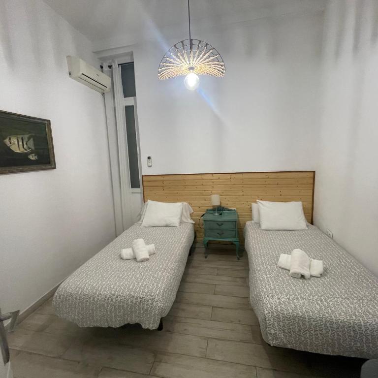 Catedral Larios Centro - Apartamento de 3 dormitorios - 26