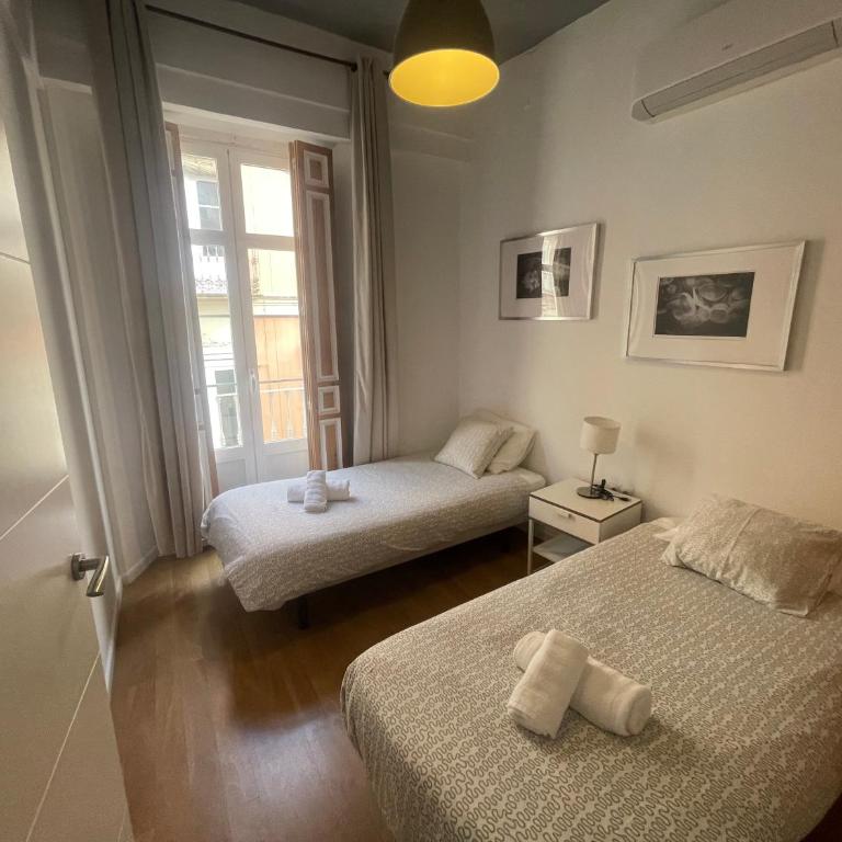 Catedral Larios Centro - Apartamento de 3 dormitorios - 7