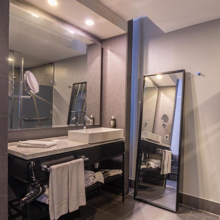 Wyndham Santiago Pettra - 1 King Bed, Garden View, Non-Smoking - 3