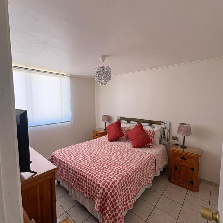 Valle Copiapo - One-Bedroom Apartment - 4
