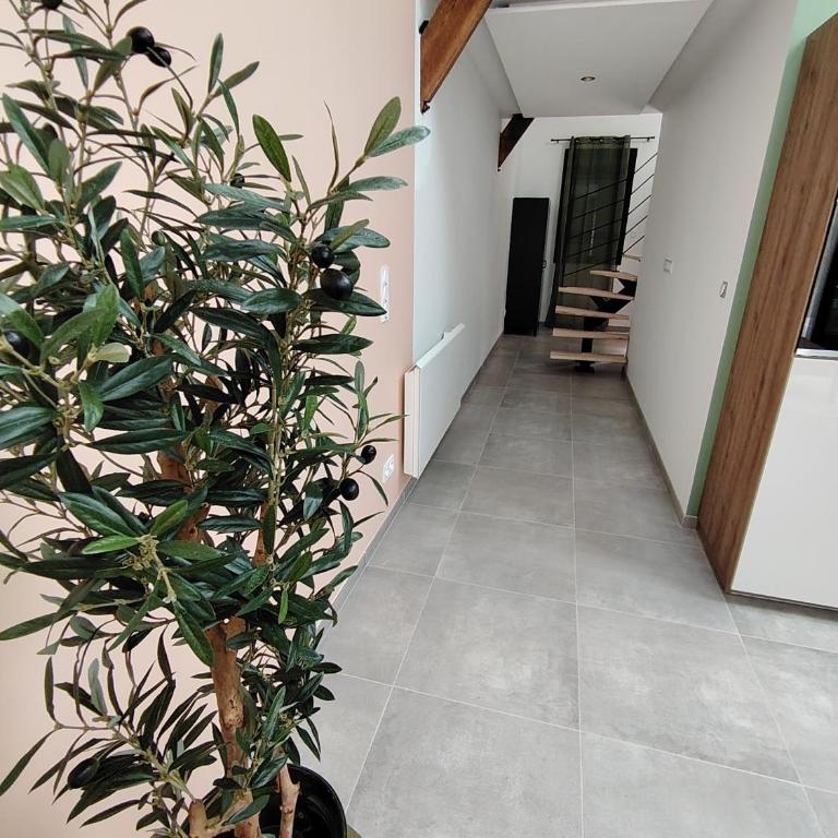 Le petit marais - Villa 1 Chambre - 14