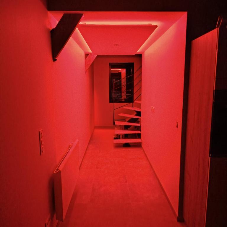 Le petit marais - Villa 1 Chambre - 13