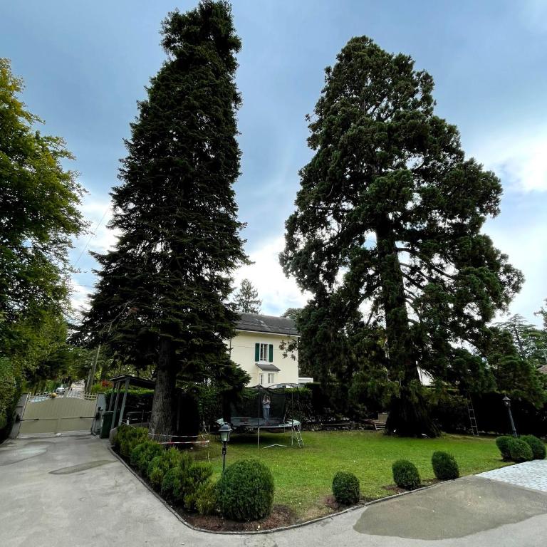 Residence Mont-Blanc - Appartamento - Piano Terra - 5