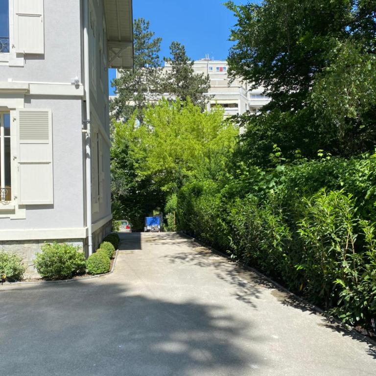 Residence Mont-Blanc - Appartamento - Piano Terra - 3