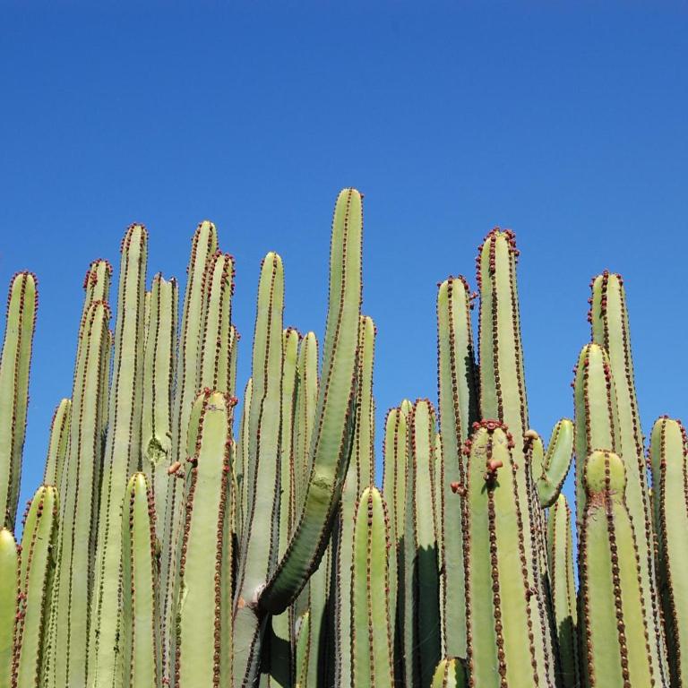 Kaiman 3 by VillaGranCanaria - Three-Bedroom Villa - 48