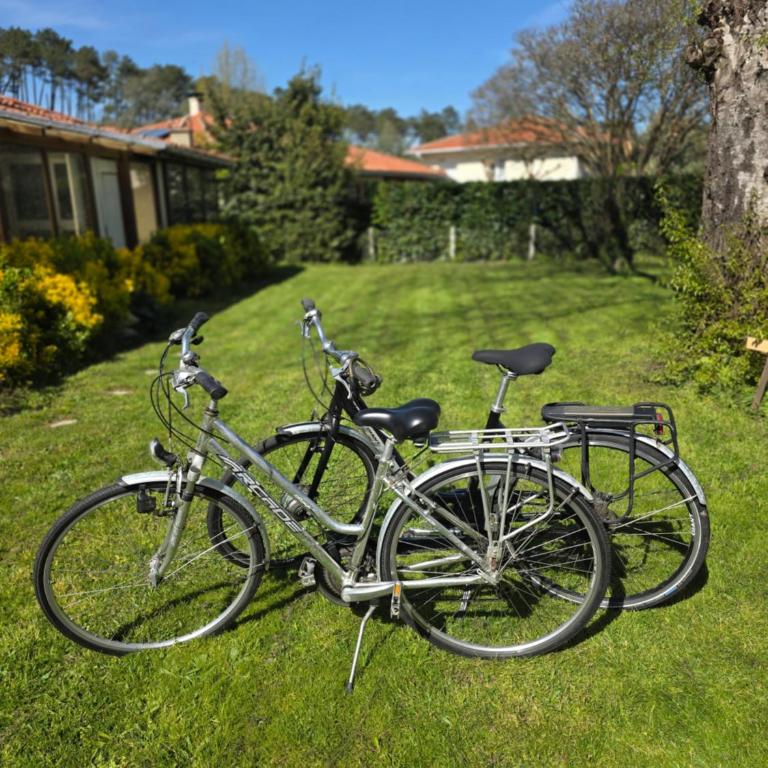 Logement neuf tout équipé, climatisé avec terrasse, VELOS, barbecue, proche du bourg et des plages océanes, WIFI, linge et ménage compris - Appartement 1 Chambre - 9