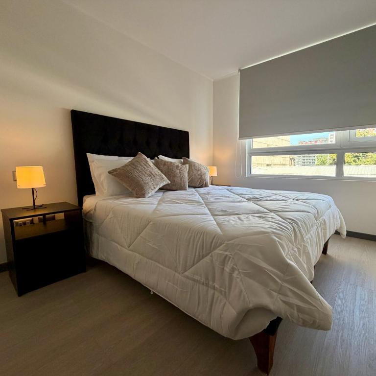 Co-Work Apartment 516 Downtown Santiago, 2 Bedrooms más Parking - Apartamento de 2 dormitorios - 5