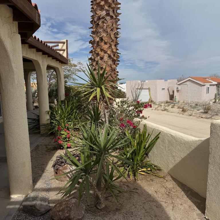 Casa Stu Playa de Oro Rental - Casa - 12