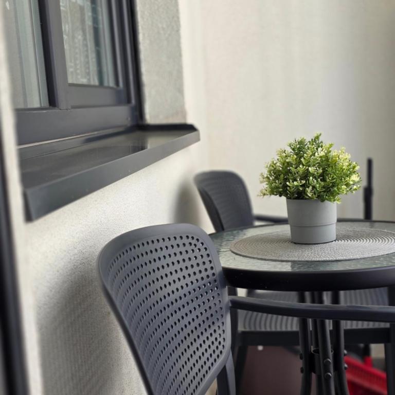 Vision apartmani Vrnjačka Banja - Studio sa Terasom - 8