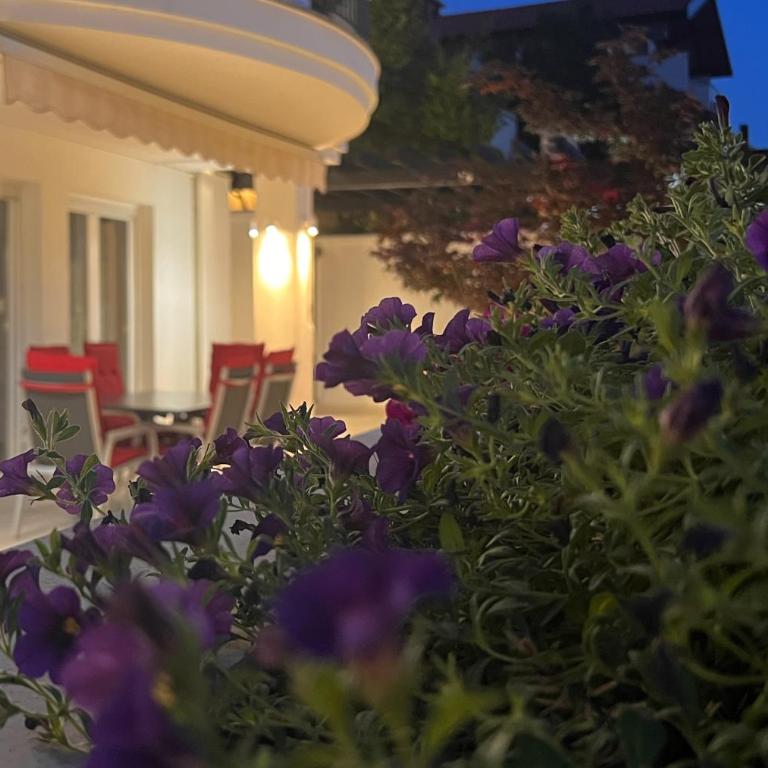 Apartment with private pool Kotor Ljuta 2 - Two-Bedroom Apartment - 34