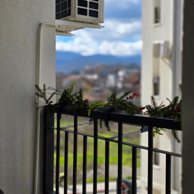 Vision apartmani Vrnjačka Banja - Studio sa Terasom - 9