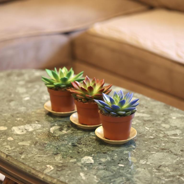 Sunshine of Montenegro - Family Oasis - Three-Bedroom Apartment - 65
