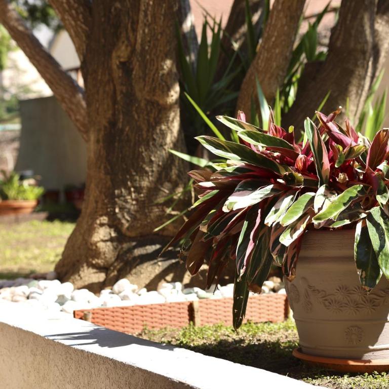 Sunshine of Montenegro - Family Oasis - Three-Bedroom Apartment - 58