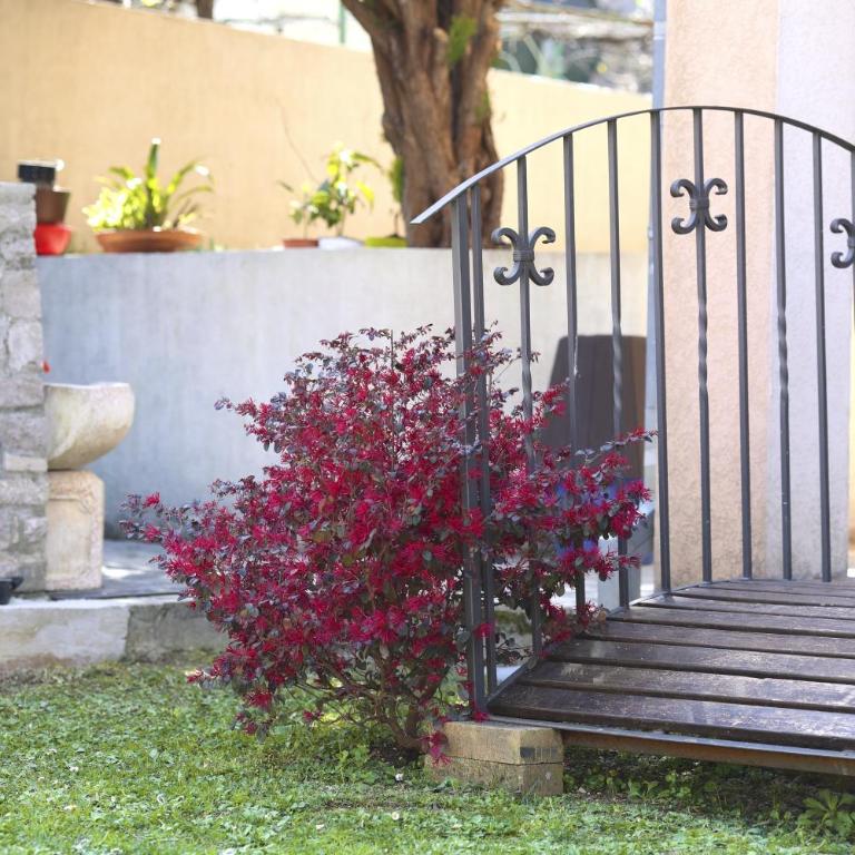 Sunshine of Montenegro - Family Oasis - Three-Bedroom Apartment - 73