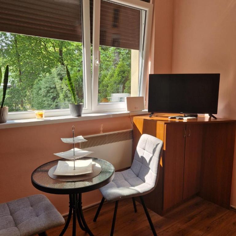Apartmani Central Vrnjačka Banja Šetalište - One-Bedroom Apartment - 3