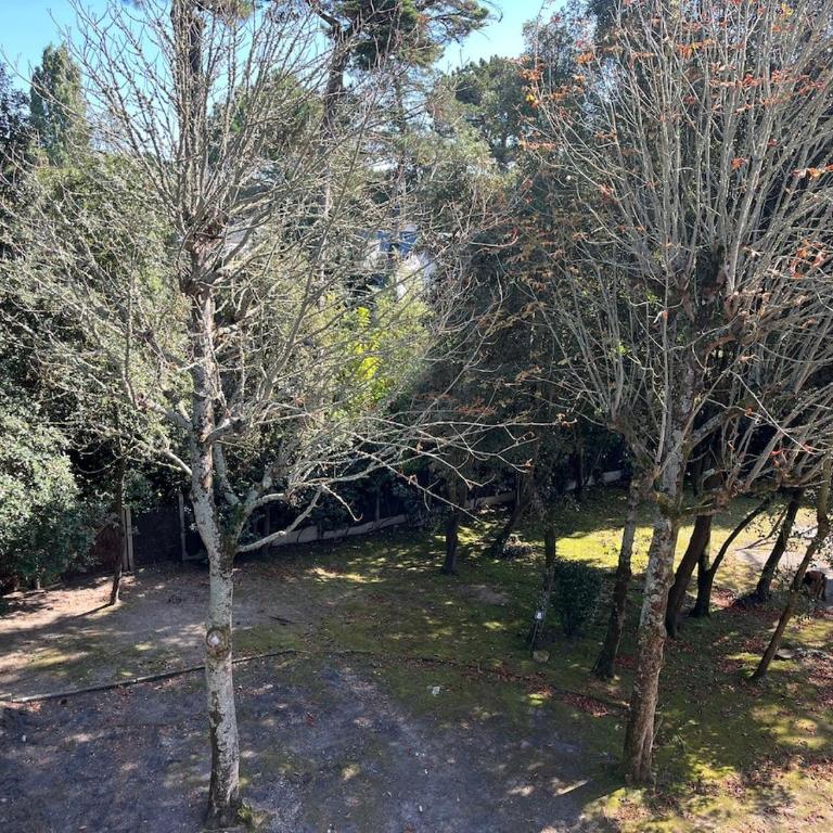 T3 avec superbe terrasse, coin prisé de La Baule - Appartamento con 2 Camere da Letto - 7