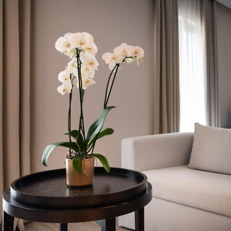 Hotel Moskva - Superior Dvokrevetna Soba sa Bračnim Krevetom - 5