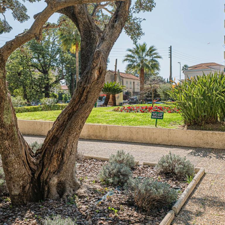 2 pièces 52m2 Clim Parking Terrasse Golfe-Juan - Appartement 1 Chambre - 32