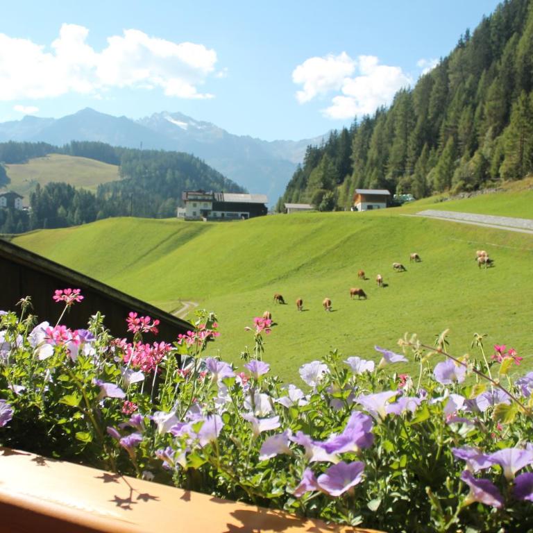 Haus Sennhof - Apartment mit Blick auf die Berge - 24