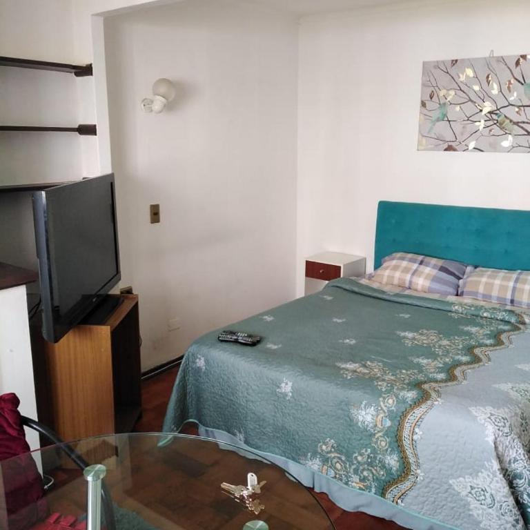Departamento kintamar viña - One-Bedroom Apartment - 6
